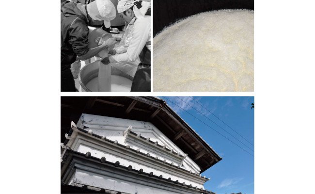 高知県芸西村のふるさと納税 SSJ022　土佐しらぎく 純米吟醸 高育酒80号 1800ml 1本＜高知 芸西村 仙頭酒造場 酒 日本酒 土佐 しらぎく＞