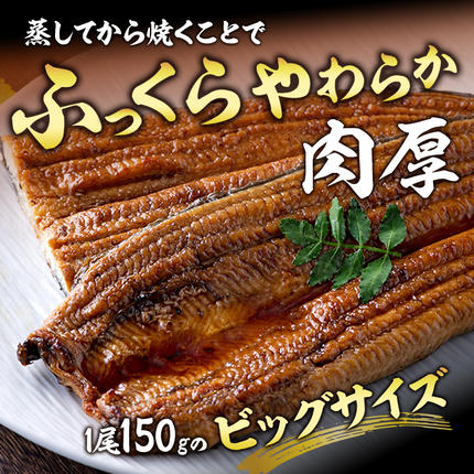 静岡県浜松市のふるさと納税 うなぎ 特上 長蒲焼き 2尾 合計300g以上 セット 国産 浜名湖うなぎ 配送不可：離島