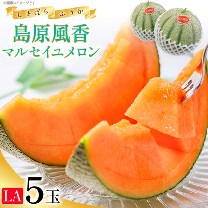 CE160[令和9年度出荷分]マルセイユメロン〜島原風香〜(LA×5玉) [ メロン 赤肉 果物 くだもの フルーツ 産地直送 『舞岳の里』生産組合 長崎県 島原市 ]