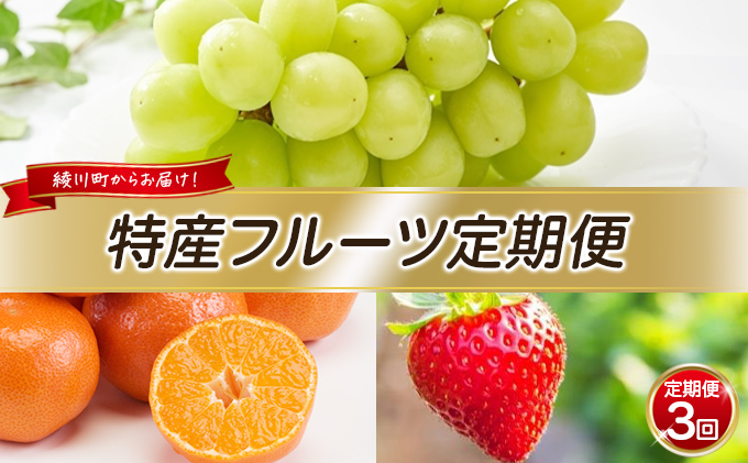香川県綾川町のふるさと納税 特産 フルーツ 定期便 （年3回） 果物類 柑橘類 みかん いちご 苺 イチゴ ぶどう マスカット