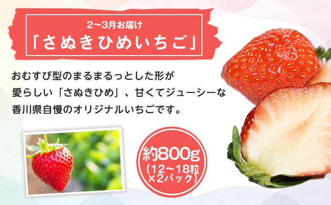 香川県綾川町のふるさと納税 特産 フルーツ 定期便 （年3回） 果物類 柑橘類 みかん いちご 苺 イチゴ ぶどう マスカット
