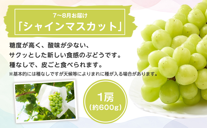 香川県綾川町のふるさと納税 特産 フルーツ 定期便 （年3回） 果物類 柑橘類 みかん いちご 苺 イチゴ ぶどう マスカット
