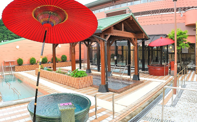 岐阜県池田町のふるさと納税 池田温泉　贈答券50枚セット チケット 温泉利用券