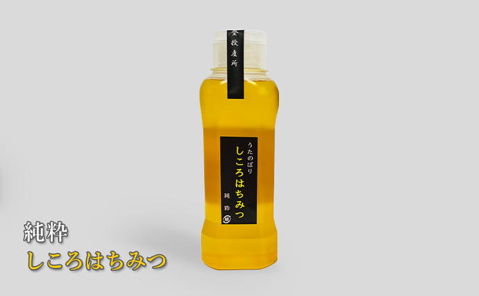 北海道枝幸町のふるさと納税 純粋しころはちみつ500g【 枝幸産 蜂蜜 はちみつ 北海道 オホーツク 枝幸 】