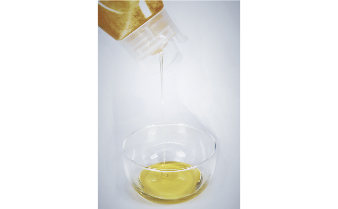 北海道枝幸町のふるさと納税 純粋しころはちみつ500g【 枝幸産 蜂蜜 はちみつ 北海道 オホーツク 枝幸 】