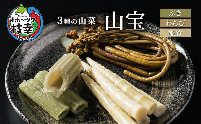 3種の山菜「山宝」ふき・わらび・姫竹 【 枝幸産 野菜 山菜 北海道