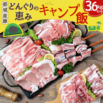 宮崎県都城市のふるさと納税 「どんぐりの恵み豚」キャンプ飯3.6kgセット_17-1104