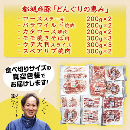 宮崎県都城市のふるさと納税 「どんぐりの恵み豚」キャンプ飯3.6kgセット_17-1104