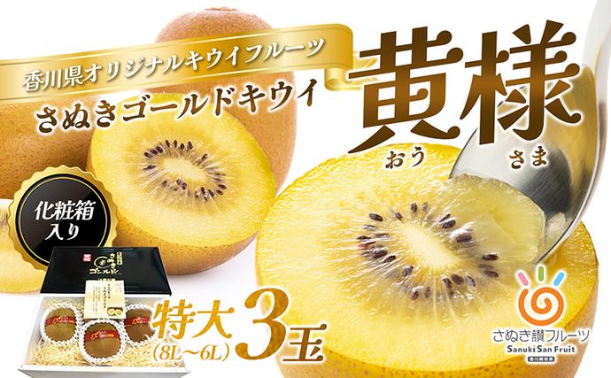 香川県東かがわ市のふるさと納税 さぬき ゴールドキウイ 黄様 (おうさま) 特大 3玉 化粧箱 ゴールデンキウイ キウイフルーツ キウイ フルーツ 果物 くだもの 果実 旬の果物 旬のフルーツ 香川 香川県 東かがわ市