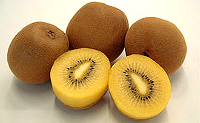 香川県東かがわ市のふるさと納税 さぬき ゴールドキウイ 黄様 (おうさま) 特大 3玉 化粧箱 ゴールデンキウイ キウイフルーツ キウイ フルーツ 果物 くだもの 果実 旬の果物 旬のフルーツ 香川 香川県 東かがわ市