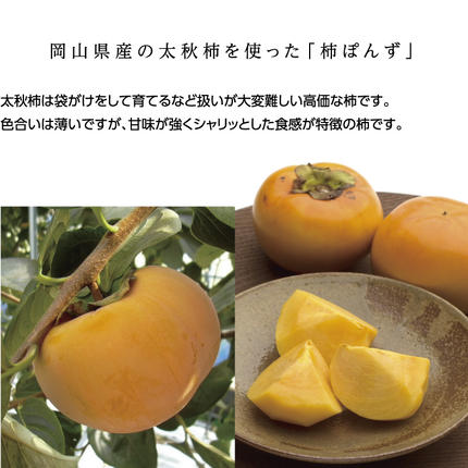 岡山県瀬戸内市のふるさと納税 柿ぽんず 本かえしセット 調味料 ポン酢
