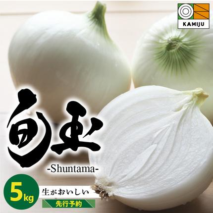 愛知県碧南市のふるさと納税 (2026年発送)新玉ねぎ 生がおいしい 神重農産のブランド玉ねぎ「旬玉」5kg ブランド玉ねぎ 玉ねぎ 国産 愛知県産 野菜 やさい 農家直送 畑直送 旬 期間限定 たまねぎ 先行予約 旬 特産 高評価 高リピート 人気 H105-176