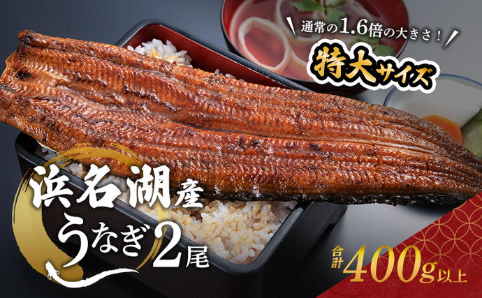 うなぎ 蒲焼き 2尾 (200g以上×2本
