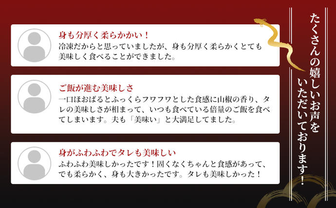 静岡県浜松市のふるさと納税 うなぎ 蒲焼き 2尾 (200g以上×2本)セット 国産 うなぎセット 国産うなぎ 浜名湖うなぎ