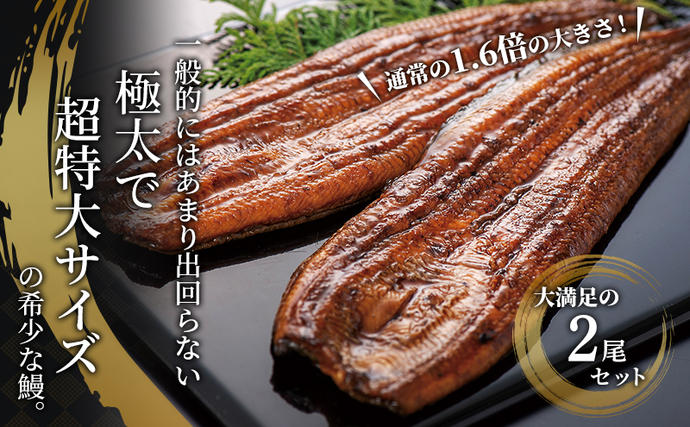 静岡県浜松市のふるさと納税 うなぎ 蒲焼き 2尾 (200g以上×2本)セット 国産 うなぎセット 国産うなぎ 浜名湖うなぎ