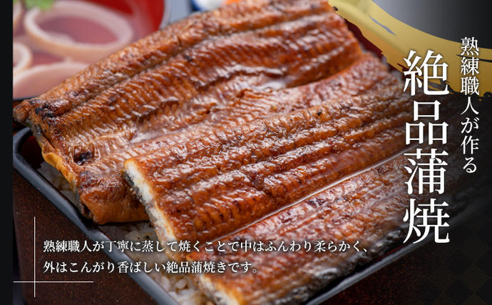 静岡県浜松市のふるさと納税 うなぎ 蒲焼き 2尾 (200g以上×2本)セット 国産 うなぎセット 国産うなぎ 浜名湖うなぎ