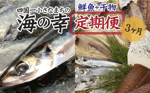 高知県田野町のふるさと納税 【四国一小さなまちの海の幸】～旬の朝どれ鮮魚と土佐の干物セット～ カネアリ水産の海の定期便3ヶ月 季節 四季 鮮魚 加工食品 干物 ちりめんじゃこ カツオ サバ 金目鯛 カンパチ 朝どれ 冷凍 冷蔵