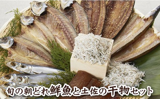 高知県田野町のふるさと納税 【四国一小さなまちの海の幸】～旬の朝どれ鮮魚と土佐の干物セット～ カネアリ水産の海の定期便3ヶ月 季節 四季 鮮魚 加工食品 干物 ちりめんじゃこ カツオ サバ 金目鯛 カンパチ 朝どれ 冷凍 冷蔵