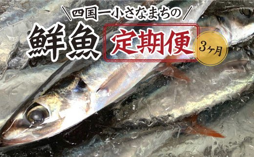 高知県田野町のふるさと納税 【四国一小さなまちの鮮魚】～海の幸～旬の朝どれ鮮魚セット カネアリ水産の鮮魚定期便３ヶ月 季節 四季 旬 春 夏 秋 冬 鮮魚 カツオ サバ 金目鯛 カンパチ 魚 海鮮 冷蔵