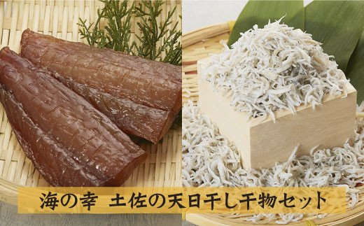 高知県田野町のふるさと納税 【四国一小さなまちの干物】～海の幸～土佐の天日干し干物セット カネアリ水産の干物定期便３ヶ月 季節の干物 加工食品 干物 天日干し ちりめんじゃこ 魚 冷凍