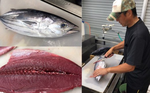 高知県田野町のふるさと納税 【四国一小さなまち】ヤマシン特選土佐の鰹タタキとさしみセット