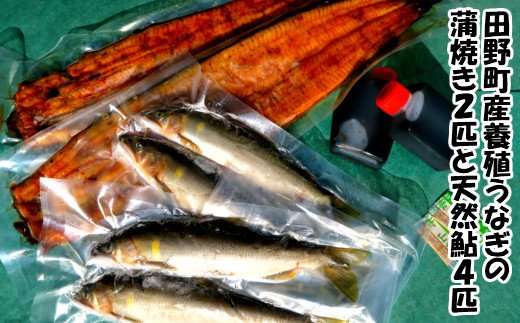 高知県田野町のふるさと納税 田野町産うなぎの蒲焼き2匹と天然鮎4匹セット　タレ付き 山椒付き うなぎ 鰻 ウナギ 蒲焼き かば焼き 無頭 おいしい 国産 お取り寄せ 冷凍 配送