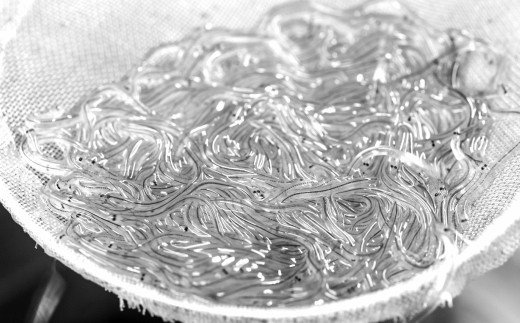 高知県田野町のふるさと納税 田野町産うなぎの蒲焼き2匹と天然鮎8匹セット　タレ付き 山椒付き うなぎ 鰻 ウナギ 蒲焼き かば焼き 無頭 おいしい 国産 お取り寄せ 冷凍 配送