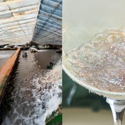 高知県田野町のふるさと納税 【四国一小さなまち】 田野町産うなぎの蒲焼き（小） 2本 タレ付き 山椒付き うなぎ 鰻 ウナギ 蒲焼き かば焼き 無頭 おいしい 国産 お取り寄せ 冷凍 配送