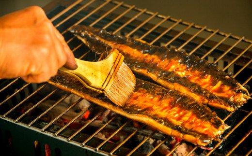 高知県田野町のふるさと納税 田野町産うなぎのひつまぶし（2パック）