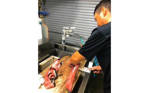 高知県田野町のふるさと納税 ヤマシン特選うなぎ白焼き・ひつまぶし