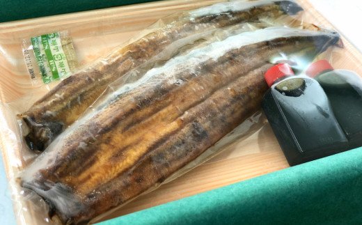 高知県田野町のふるさと納税 田野町産うなぎの蒲焼き（大）2本 タレ付き 山椒付き うなぎ 鰻 ウナギ 蒲焼き かば焼き 無頭 おいしい 国産 お取り寄せ 冷凍 配送