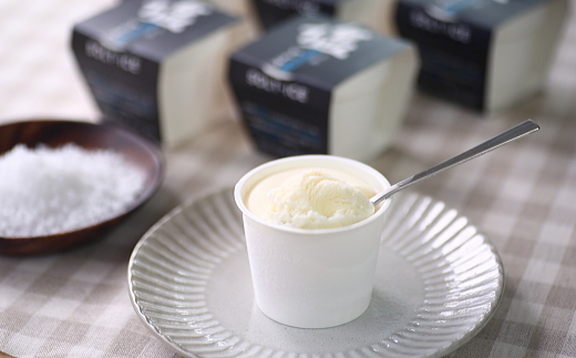 高知県田野町のふるさと納税 【四国一小さな町のアイス屋】土佐完全天日塩カップ6個入り