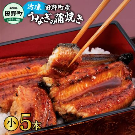 高知県田野町のふるさと納税 【四国一小さなまち】 田野町産うなぎの蒲焼き（小） 5本 タレ付き 山椒付き うなぎ 鰻 ウナギ 蒲焼き かば焼き 無頭 おいしい 国産 お取り寄せ 冷凍 配送