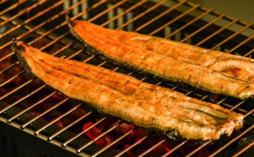 高知県田野町のふるさと納税 田野町産うなぎのひつまぶし（10パック）