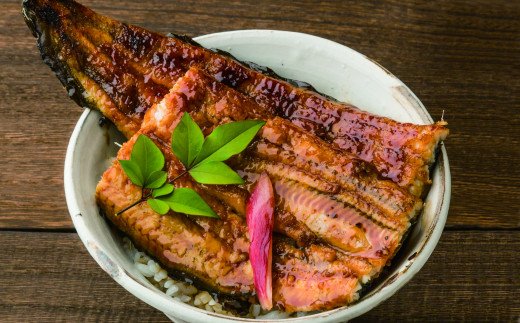 高知県田野町のふるさと納税 田野町産うなぎの蒲焼き(大）10本 タレ付き 山椒付き うなぎ 鰻 ウナギ 蒲焼き かば焼き 無頭 おいしい 国産 お取り寄せ 冷凍 配送