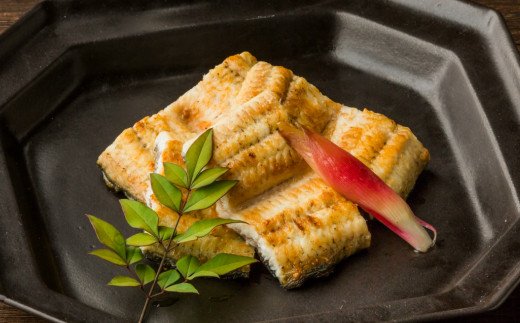 高知県田野町のふるさと納税 田野町産うなぎの白焼き(大）10本　タレ付き 山椒付き うなぎ 鰻 ウナギ 白焼 無頭 おいしい 国産 個包装 お取り寄せ 冷凍 配送