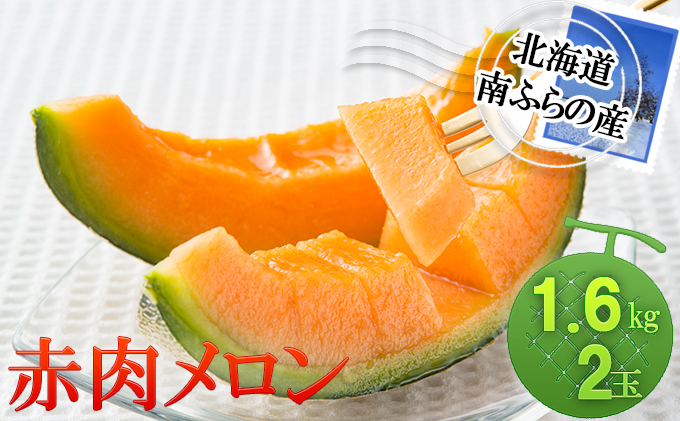 北海道南富良野町のふるさと納税 メロン 北海道 赤肉メロン 1.6kg×2玉 作倶楽 南ふらの産 産地直送 赤肉 フルーツ 果物 果実 旬 旬のくだもの デザート おやつ 富良野 めろん 2026年発送