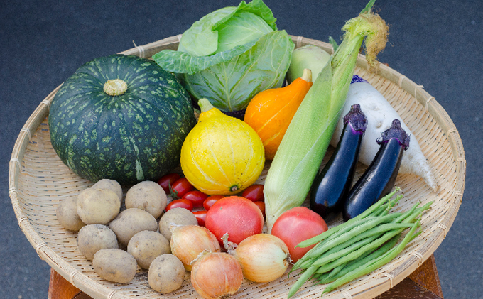 北海道南富良野町のふるさと納税 野菜 北海道 おまかせ 旬 野菜セット 南ふらの町 産地直送 旬の野菜 詰め合わせ セット ミニトマト きゅうり ズッキーニ なす とうもろこし ピーマン 夏野菜 夏 秋 2026年発送