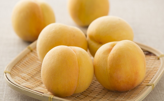 岡山県赤磐市のふるさと納税 桃 2026年 先行予約 黄金桃 3kg 9～12玉 もも モモ 岡山県産 国産 フルーツ 果物 ギフト 桃茂実苑 果肉