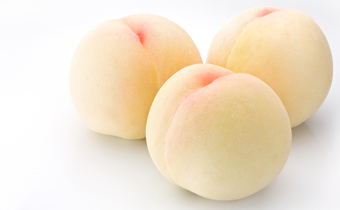 岡山県赤磐市のふるさと納税 桃 2026年 先行予約 白桃 3kg 9～12玉 もも モモ 岡山県産 国産 フルーツ 果物 ギフト 桃茂実苑 果肉