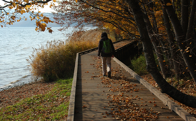 北海道洞爺湖町のふるさと納税 北海道洞爺湖町 日本旅行 地域限定旅行クーポン30,000円分 チケット
