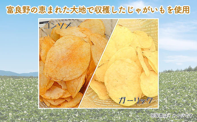 北海道南富良野町のふるさと納税 【2ヵ月に1回お届け】JAふらのポテトチップス【ふらのっち】2種類(各12袋)×4回 ふらの農業協同組合(南富良野町) 芋 菓子 スナック じゃがいも お菓子 ポテチ 定期便 詰合せ コンソメ うすしお のり塩 ガーリック