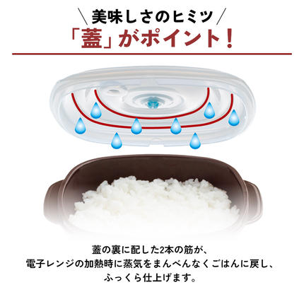 真空おひつ ] 真空ポンプ付き 真空保存容器 電子レンジ対応 密閉