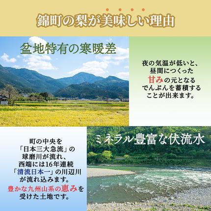 熊本県錦町のふるさと納税 梨 旬 5kg 先行予約 2026年発送 平野果樹園 錦の梨 なし フルーツ 果物 デザート 配送不可:離島