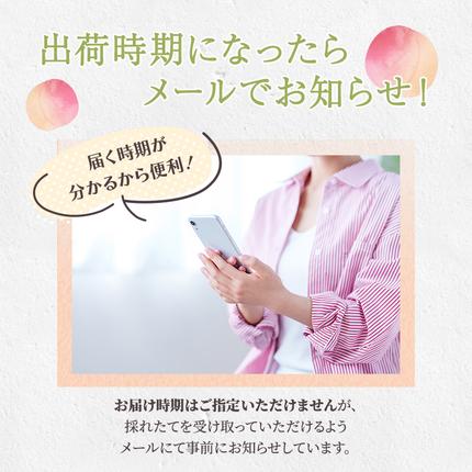 熊本県錦町のふるさと納税 桃 白桃 先行予約 錦の桃 2kg 約5玉～9玉 もも モモ フルーツ 果物 デザート 2026年発送 鎌木果樹園 配送不可:離島