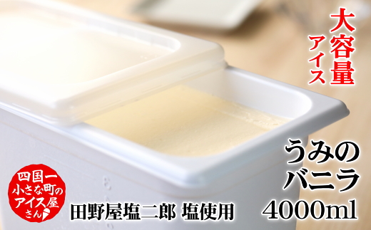 高知県田野町のふるさと納税 【四国一小さなまちのアイス屋さん】≪松崎冷菓≫大容量アイス 4000ml ★うみのバニラ★ 4l アイスミルク スイーツ デザート 天日塩 おすすめ 美味しい 高知県 田野町