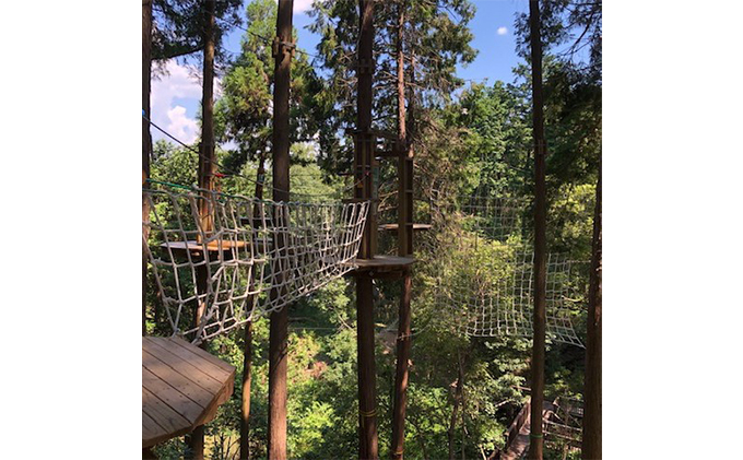奈良県王寺町のふるさと納税 冒険の森inおうじ　ディスカバリーコース7名様チケット 入場券 優待券 体験チケット