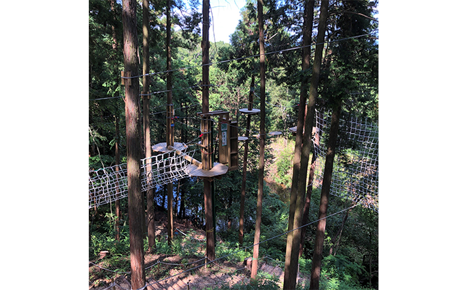 奈良県王寺町のふるさと納税 冒険の森inおうじ　ディスカバリーコース5名様チケット 入場券 優待券 体験チケット