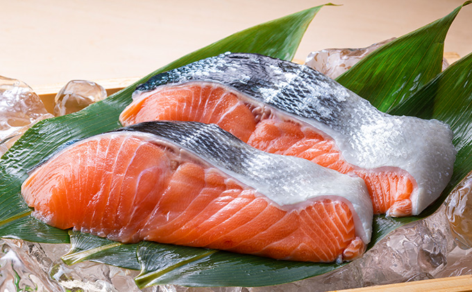 北海道枝幸町のふるさと納税 北隆丸 新巻めじか鮭〈姿〉約1.6kg【 枝幸産 魚貝類 サーモン 鮭 北海道 オホーツク 枝幸 】