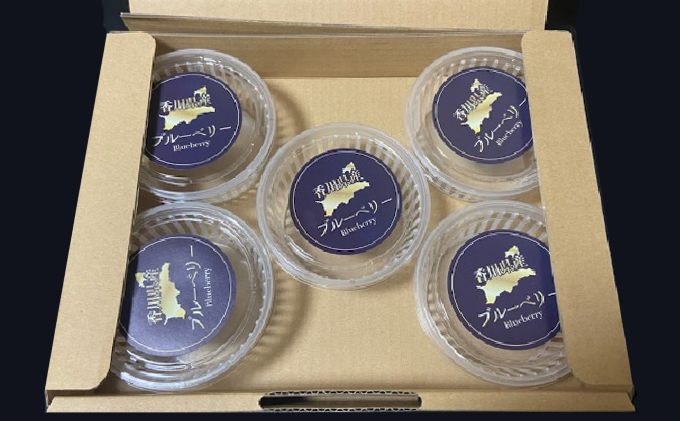 香川県東かがわ市のふるさと納税 Lucaho  Farm ブルーベリー（発送2025年6月～） 果物類 フルーツ